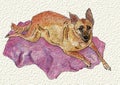 A dog hand painted, on a blanket, in watercolor and ink.