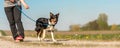 Dog handler is to go for a walk with his friendly obedient Border Collie dog in the season spring