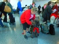 Dog Handlers Greeting Travelers on Valentines Day