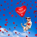 Dog hanging on balloon in air for valentines day Royalty Free Stock Photo