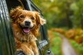 Dog is hanging out of car window looking at the camera and smiling with its tongue out. Generative AI Royalty Free Stock Photo