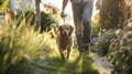 A dog happily trots alongside its owner who is walking through a serene urban oasis complete with grassy paths and