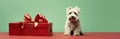 Dog happy background cute puppy canine doggy christmas pets white animal