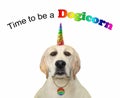 Dog with rainbow horn