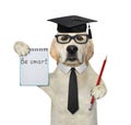 Dog in hat holds pencil and notebook Royalty Free Stock Photo