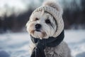 Dog hat scarf. Generate Ai Royalty Free Stock Photo