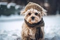 Dog hat scarf. Generate Ai Royalty Free Stock Photo