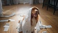 Dog have fun toilet paper in apartment close up. Playful pet wrapped in napkins