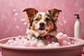 Dog having a bubble bath, pink background. Pet grooming concept