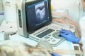 dog having ultrasound scan in a veterinary clinic Royalty Free Stock Photo