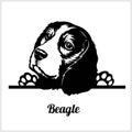 Dog head, Beagle breed, black and white illustration Royalty Free Stock Photo