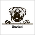 Dog head, Boerboel breed, black and white illustration