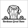 Dog head, Bordeaux Great Dane breed, black and white illustration