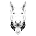 Dog head breed bull Terrier sketch vector graphics