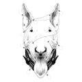 Dog head breed bull Terrier sketch vector graphics