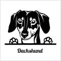 Dog head, Dachshund breed, black and white illustration Royalty Free Stock Photo