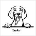Dog head, Dunker breed, black and white illustration Royalty Free Stock Photo