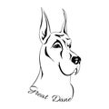 Dog Head Great Dane