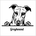 Dog head, Greyhound breed, black and white illustration