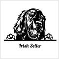 Dog head, Irish Setter breed, black and white illustration