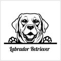 Dog head, Labrador Retriever breed, black and white illustration Royalty Free Stock Photo