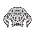 Dog head line art drawing vector, dog head drawn in a sketch style, black line dog head trainers template outline, vector