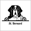 Dog head, Saint Bernard breed, black and white illustration Royalty Free Stock Photo