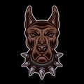 Dog Head In Spiked Collar Front View Vector Colored Illustration On Dark Background