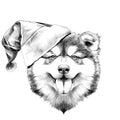 Dog head symmetry sketch vector graphics