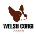 Dog head of Welsh Corgi breed