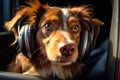 Dog with Headphones Enjoying Music in Car generative ai Royalty Free Stock Photo