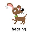 A dog is hearing. One of five senses. Hearing illustration Royalty Free Stock Photo