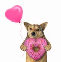 Dog with heart shaped donut Royalty Free Stock Photo