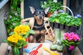 Dog Helper, pet surrounded by flowers and garden tools, the image of a gardener, florist. The concept of spring