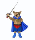 Dog hero in blue cloak with sword