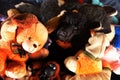 Dog hiden on toys