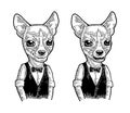 Dog hipster in bow tie and waistcoat, shirt. Vintage engraving