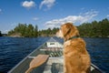 A dog in his canoe.