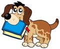 Dog holding book Royalty Free Stock Photo