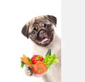 Dog holding bowl of vegetables and peeking from behind empty board. isolated on white background Royalty Free Stock Photo