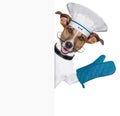Dog cook chef banner Royalty Free Stock Photo