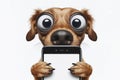 dog holding smartphone with white mockup screen on solid white background. ai generative Royalty Free Stock Photo