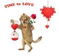 Dog holds hourglass with hearts Royalty Free Stock Photo