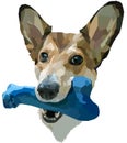 The dog holds a large bone in its mouth. Low poly 3d