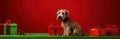 Dog holiday background pet cute christmas animal canine