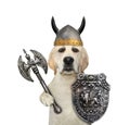 Dog in horned helmet with axe