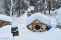 Dog house in the winter with snow on roof. Royalty Free Stock Photo