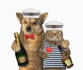 Dog hugging cat mariner Royalty Free Stock Photo