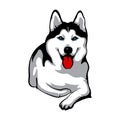 Husky, Siberian dog. Vector Stock Illustration