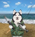 Dog husky fisher caught trout 2